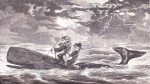 Etchings of a Whaling Cruise