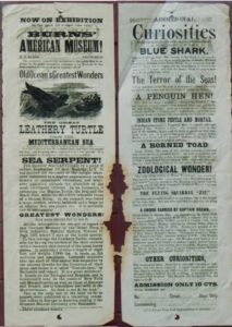 Now on Exhibition... Burns' American Museum... Old Ocean's Greatest Wonders... The Great Leathery Turtle... Sea Serpent... Blue Shark... The Terror of the Seas!...  etc.