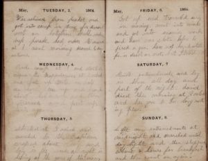 Civil War Diary of Frank E. Brink. January 1 - November 6